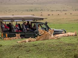 Masai Mara